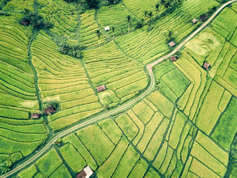 Tea Country Travel Guide – Nuwara Eliya