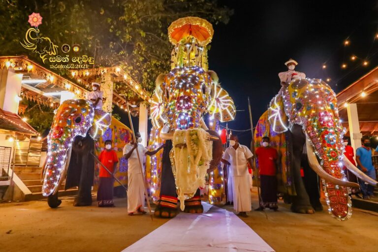 Traditional Sri Lankan Festivals and Celebrations