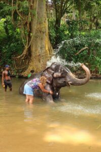Sri Lankan Village Life and Traditional Living