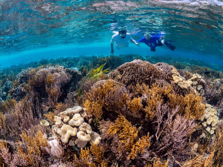 Pigeon Island National Park: Sri Lanka’s Underwater Paradise